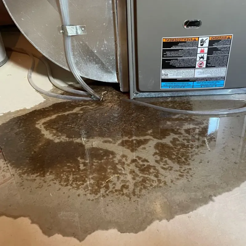 Pipe Burst and Leak Restoration in Northwest Arctic Borough, AK